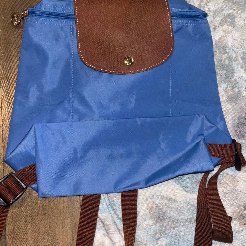 Blue and Brown Backpack